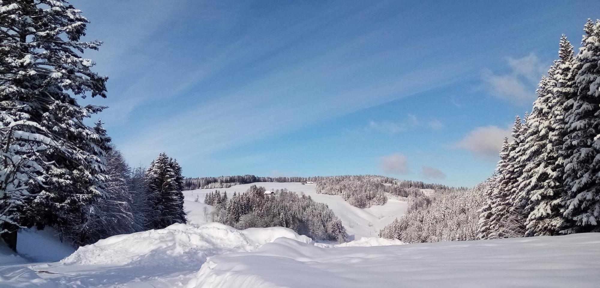 Schreinerhaeusle Naehe Titisee Himmelreich Luaran gambar